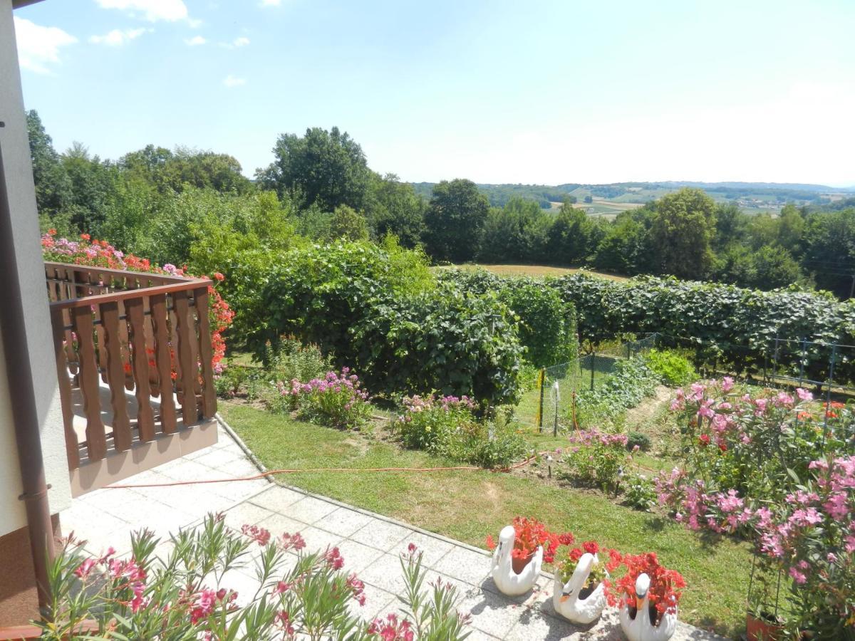 Urlaub Fuer Die Seele - Erholung Pur In Der Natur - Ferienhaus Mit Infrarotkabine & Relax-Raum Rucmanci Extérieur photo