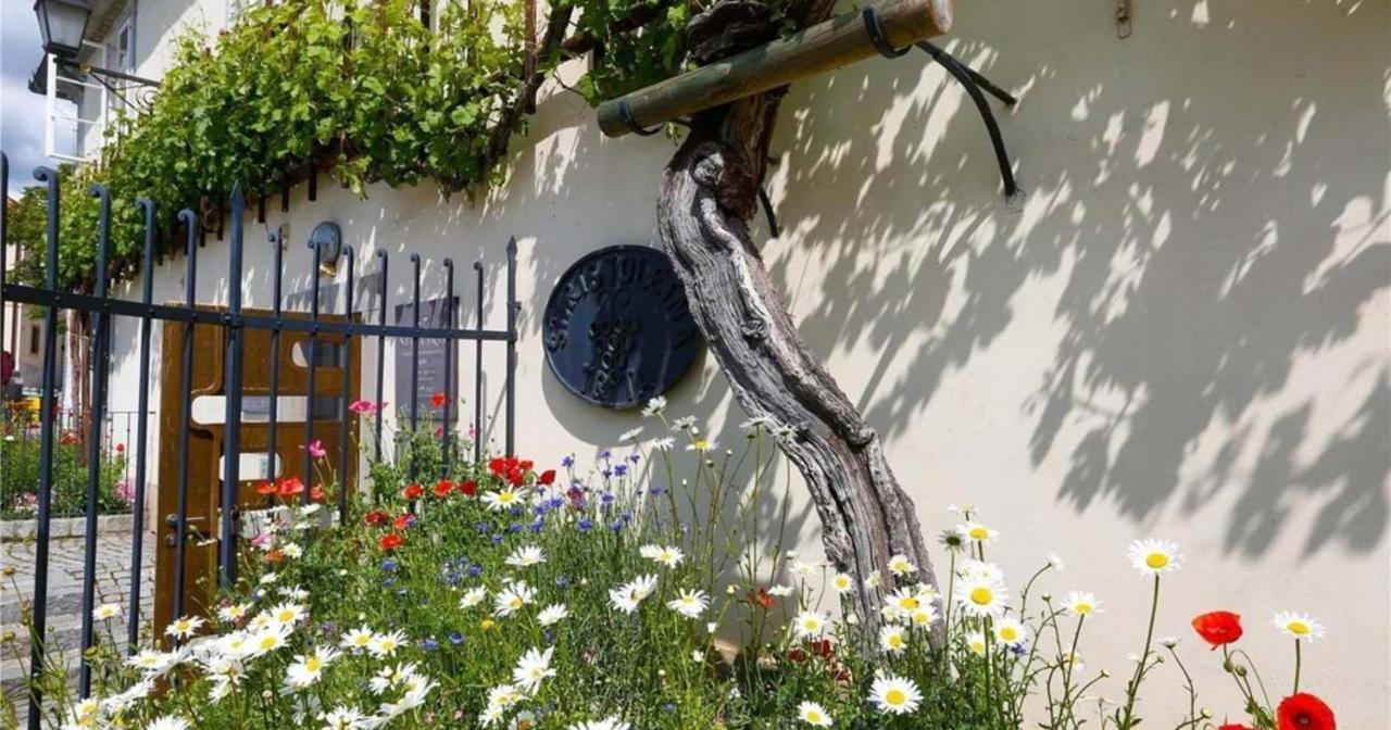 Urlaub Fuer Die Seele - Erholung Pur In Der Natur - Ferienhaus Mit Infrarotkabine & Relax-Raum Rucmanci Extérieur photo
