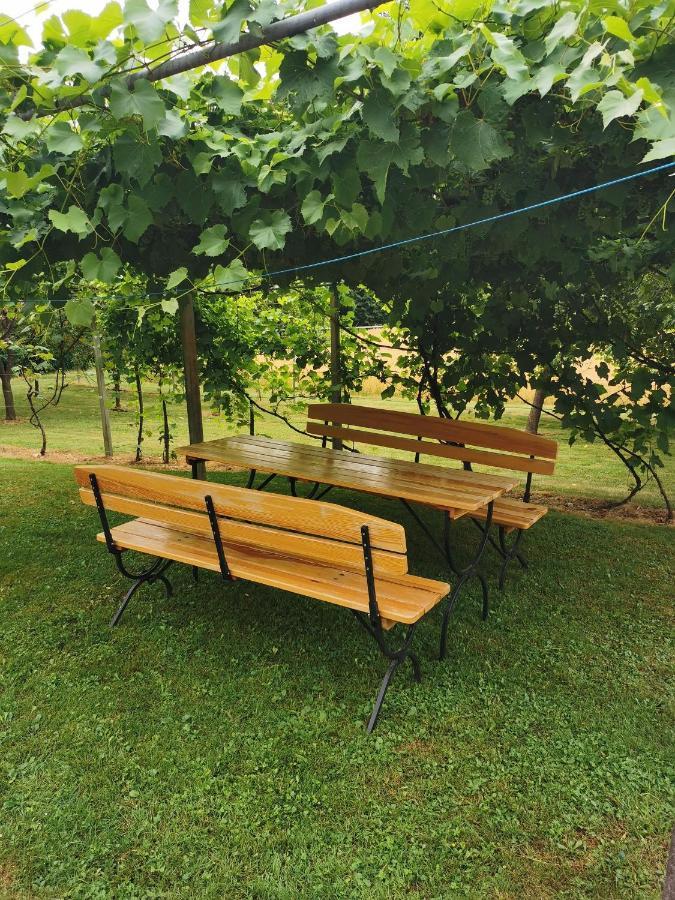 Urlaub Fuer Die Seele - Erholung Pur In Der Natur - Ferienhaus Mit Infrarotkabine & Relax-Raum Rucmanci Extérieur photo